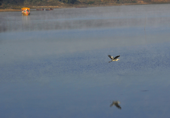 ��Ҷ��ɭ�ֹ�԰֮�y�غ�