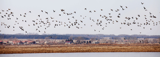 ������԰